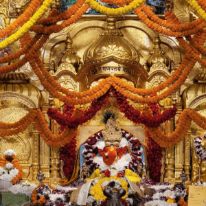 Home polotno 2025 12 01t115807.689