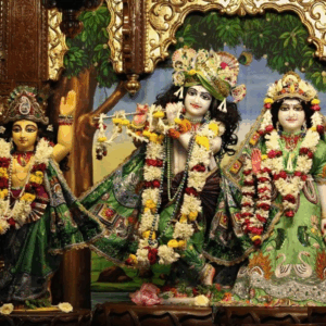 Home polotno 2025 12 01t115825.580